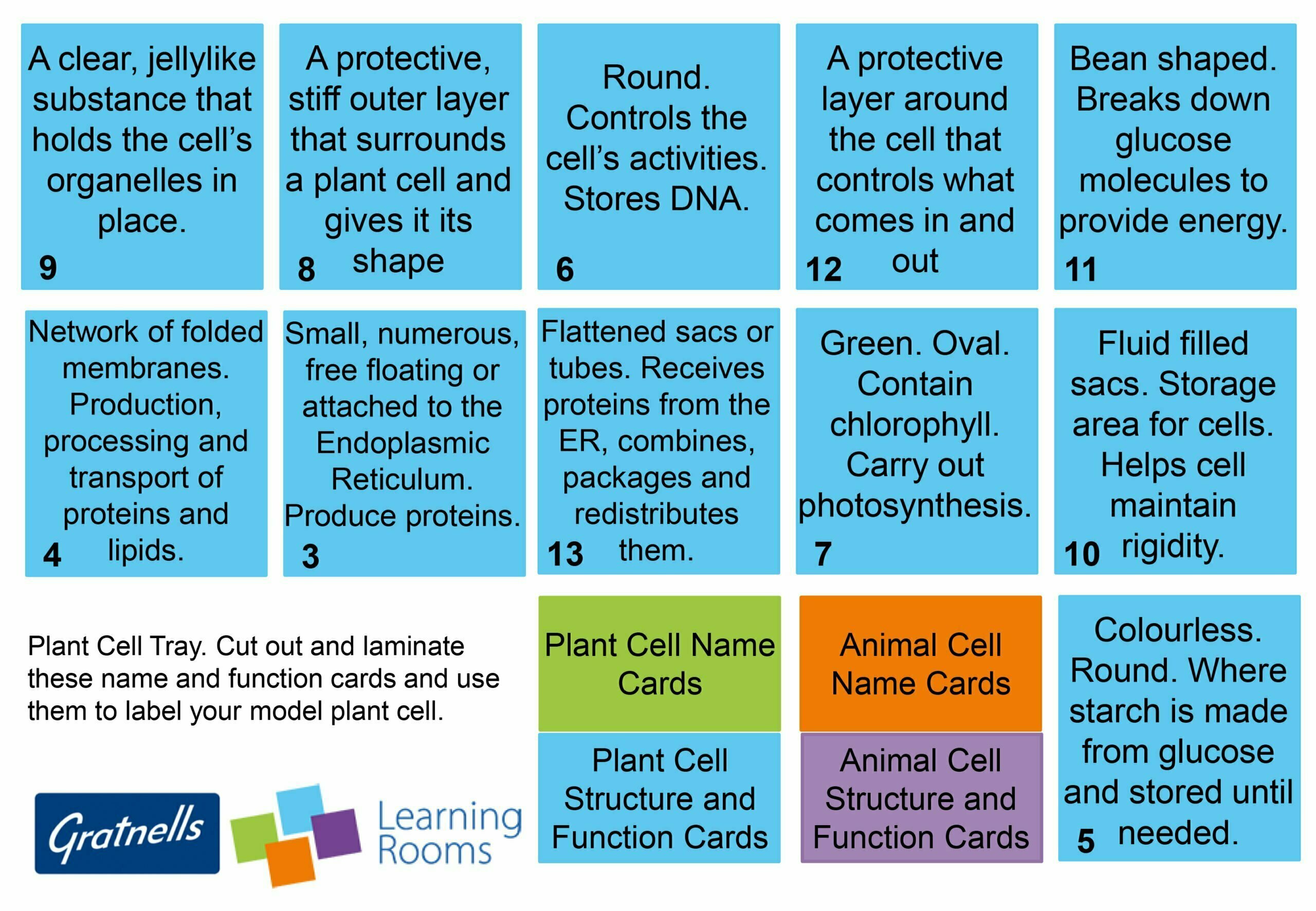 Animal and plant cells – Gratnells Learning Rooms