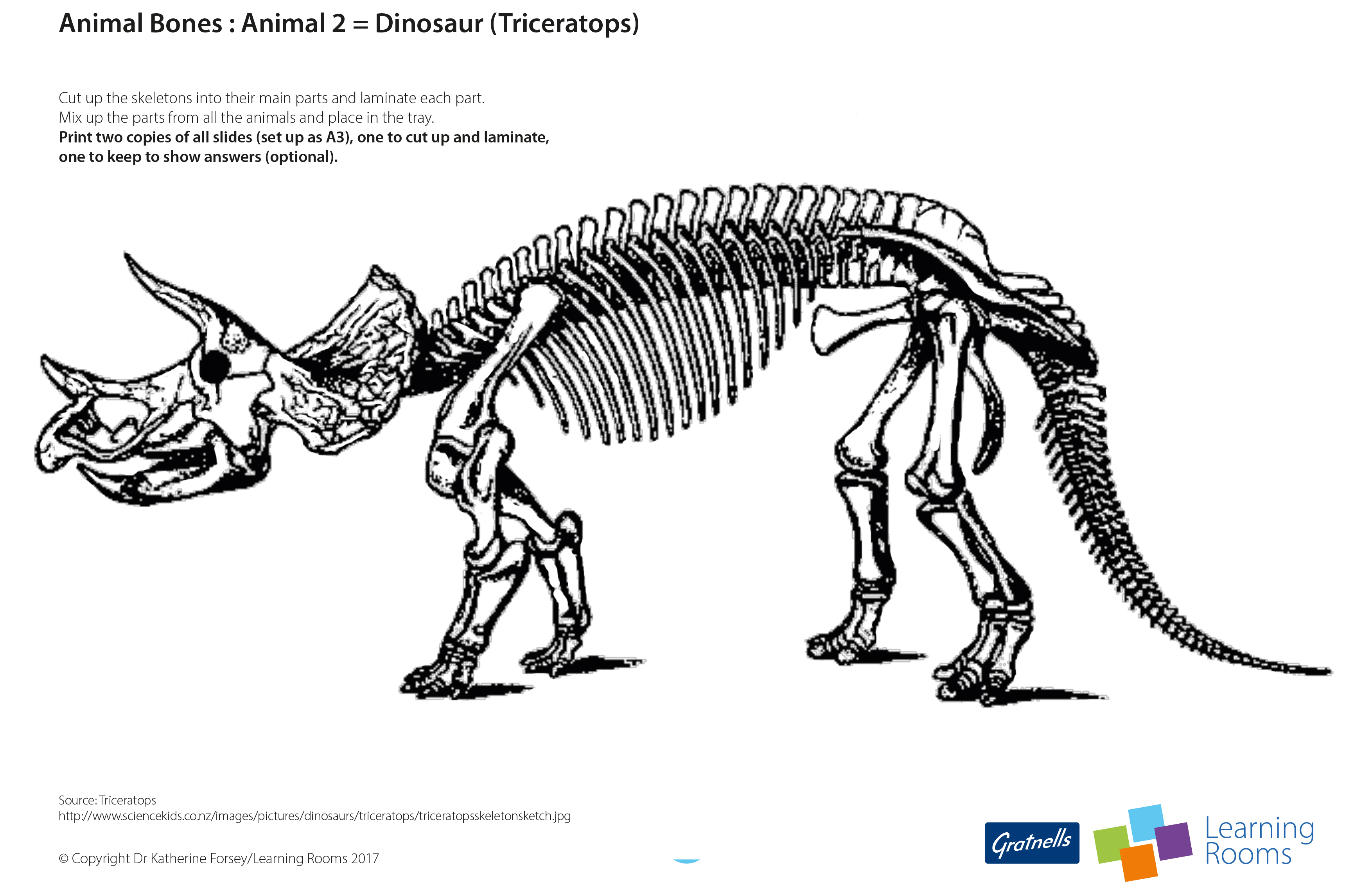 Трицератопс против тиранозавра